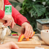 (23/10) Détox d'automne : vitalité et légèreté avant l'hiver