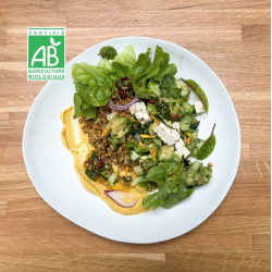 (25/11) Cuisine végé pour...