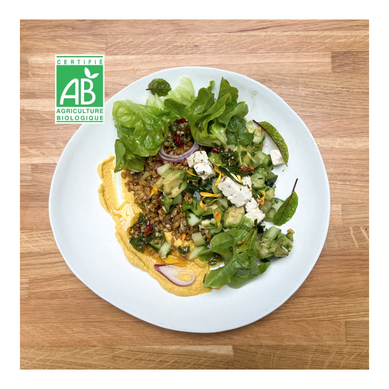 (25/11) Cuisine végé pour les nuls et les curieux