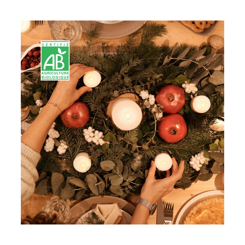 09/12 MENU DE FÊTE VÉGÉ - CHIC ET SAVOUREUX
