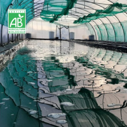 27/11 CUISINEZ VOS...