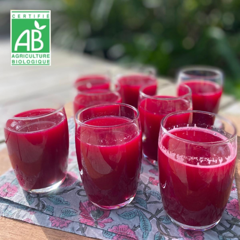 07/01 WEBINAIRE RESET CORPS & ESPRIT - DETOX 2026