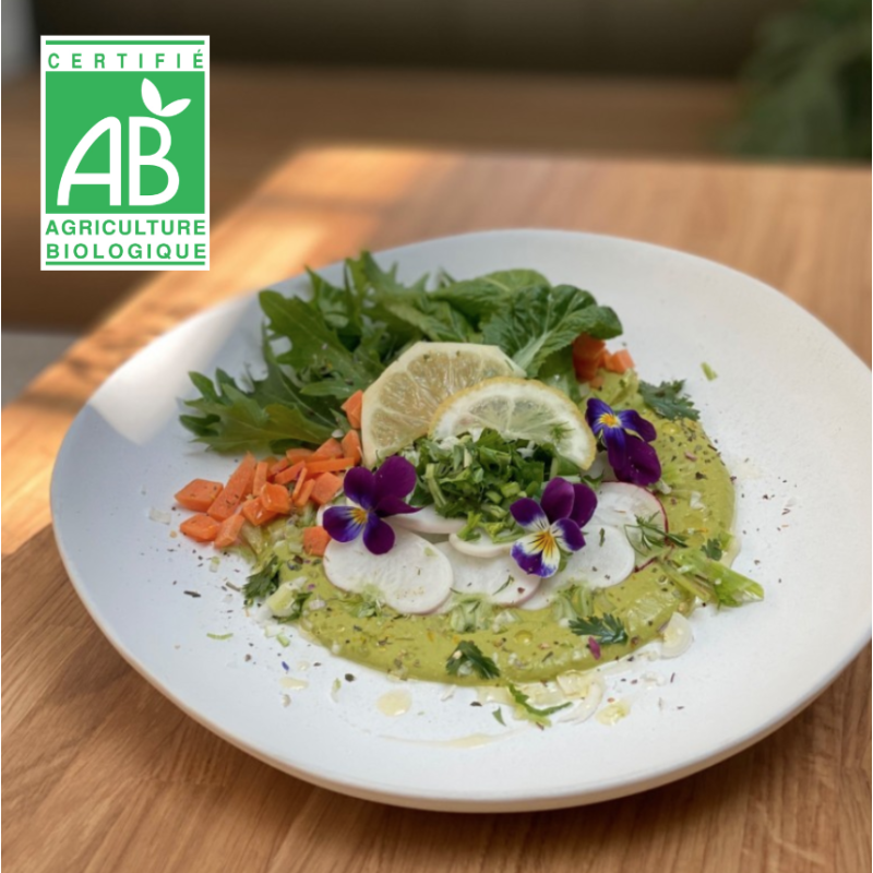 01/04 ATELIER DÉTOX DE PRINTEMPS