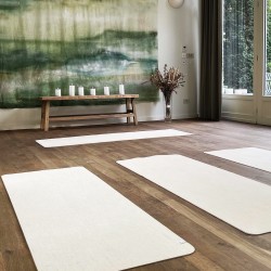 Pilates - séance unitaire